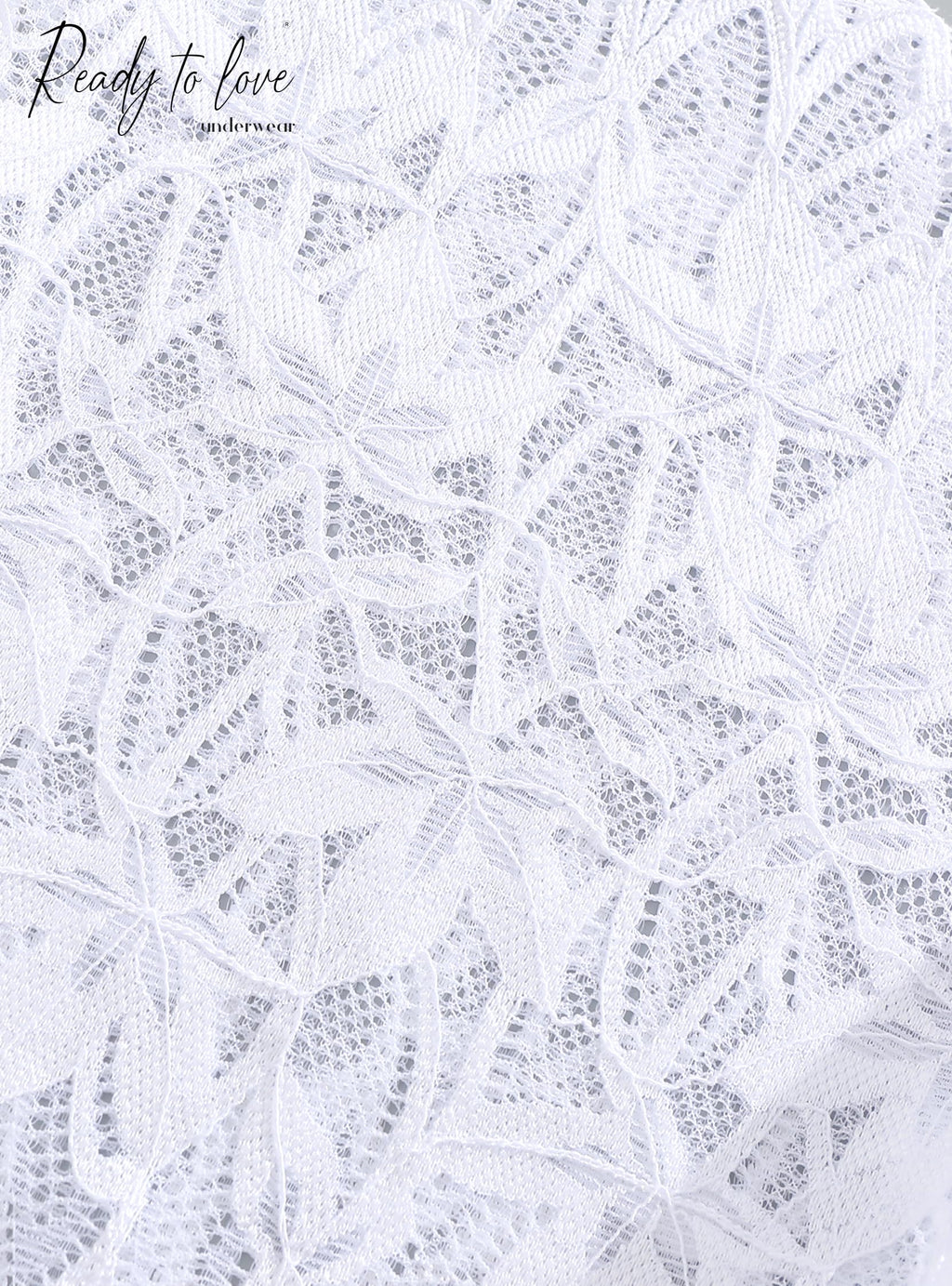 The Midnight Secret | Scalloped Lace Intimate