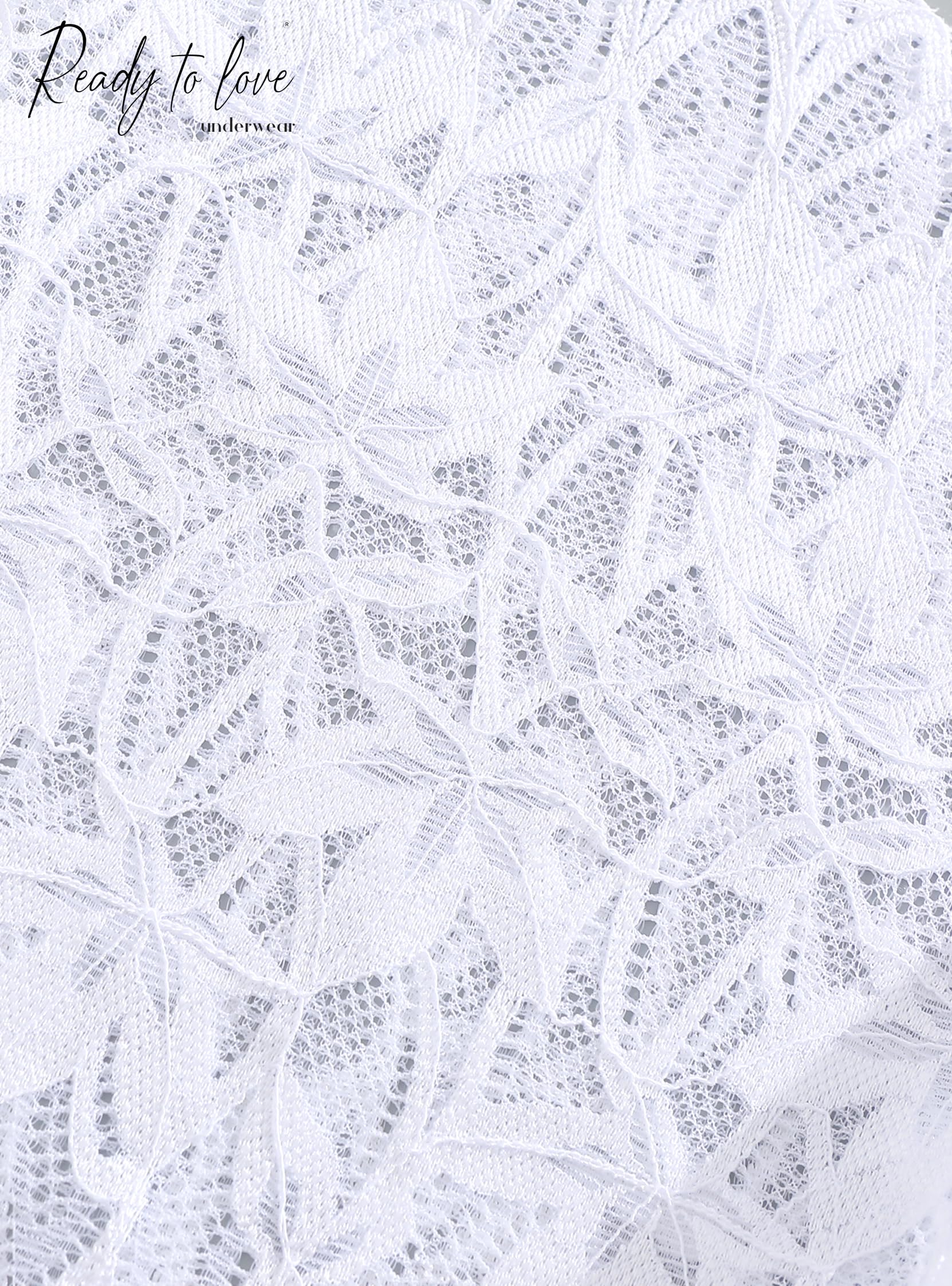 The Midnight Secret | Scalloped Lace Intimate