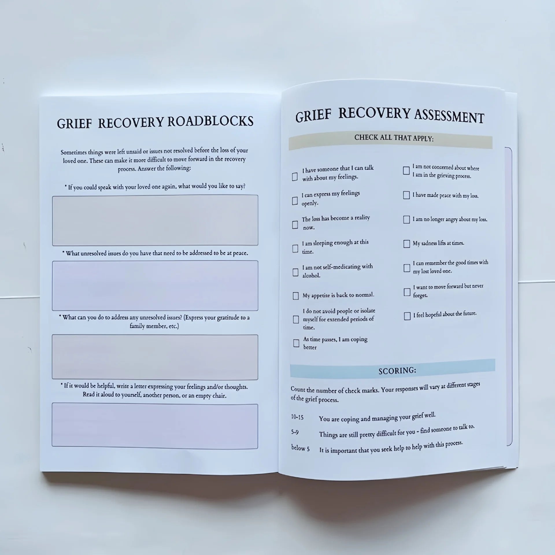 2026 Mental Wellness Journal: A Guided Weekly Diary for Emotional Healing & Self-Discovery