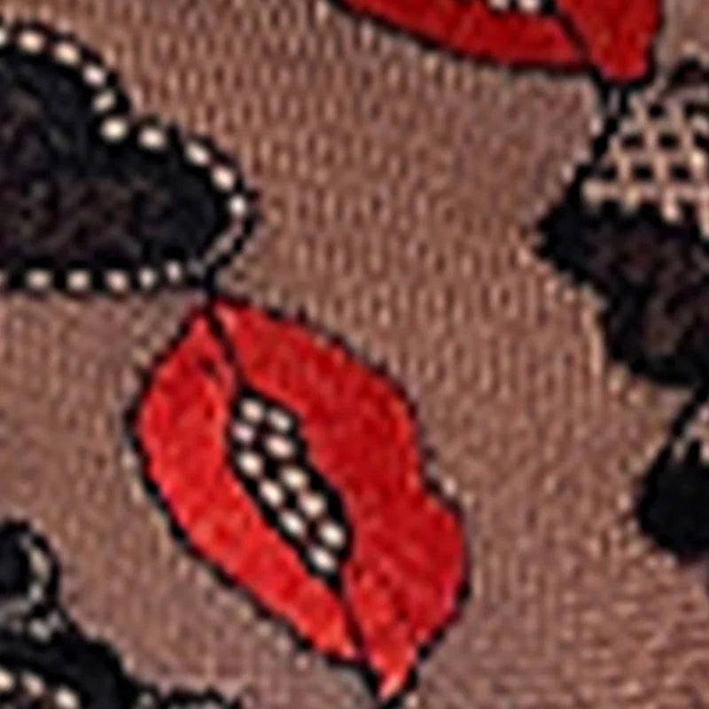 2026 High-Waisted Lace Panties for Women Lip Pattern Sheer Mesh Underwear Elastic Waist Comfortable Sexy Fashionable Briefs