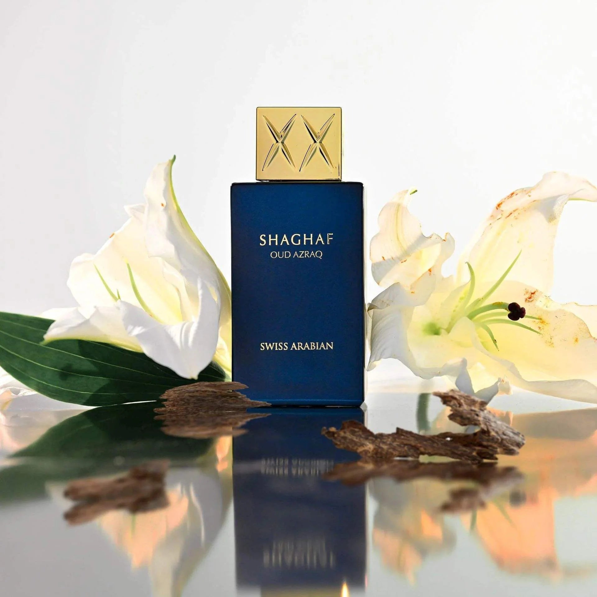 Luxury Oriental Oud EDP 100ml,gloss square gold cap unisex perfume rich woody aroma for daily business dating formal wear